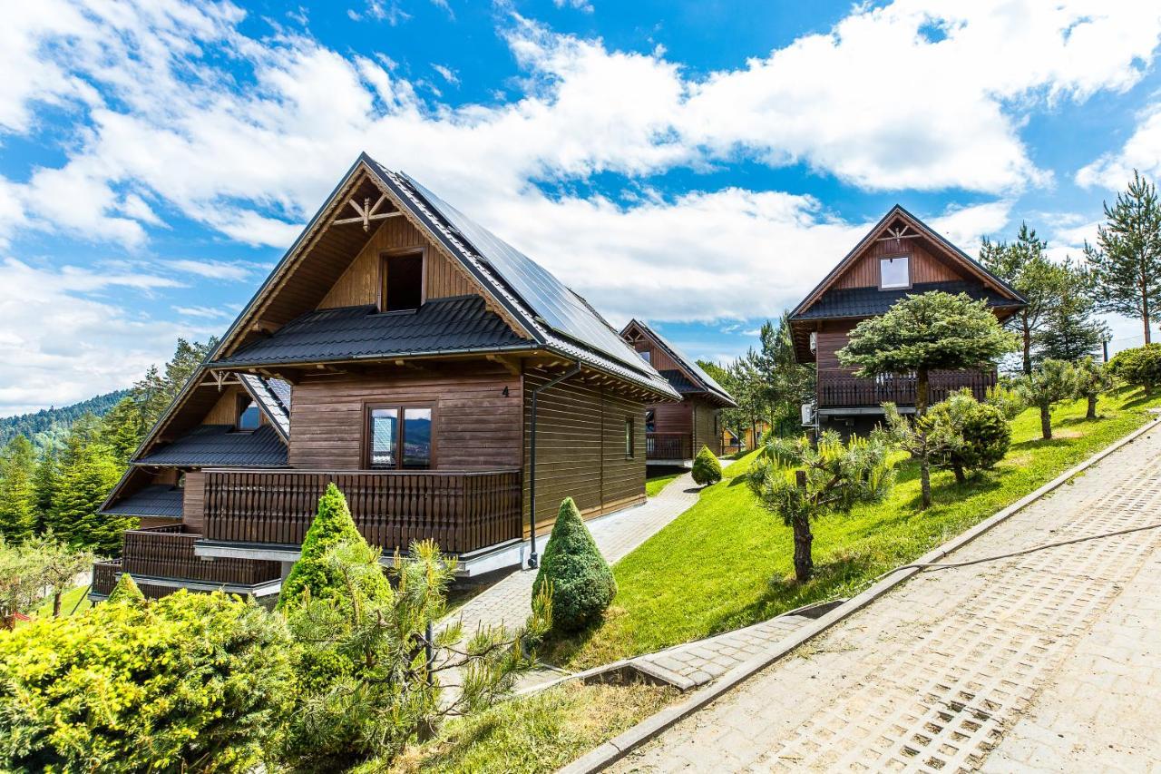 Mergen Bike & Ski Resort قلعة نيدزيكا المظهر الخارجي الصورة